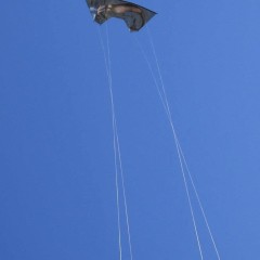 In Action