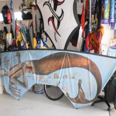 In the Kite Shop
