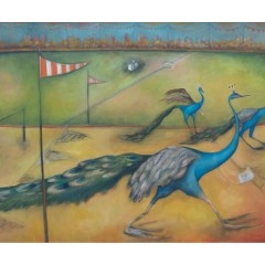 PEACOCK RACE
