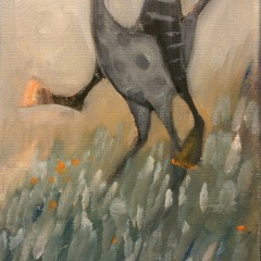 THE RIDER