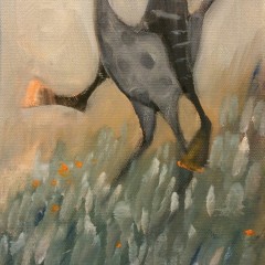 THE RIDER