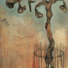 PLATANUS